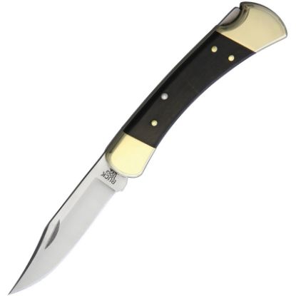 Buck 110 Folding Hunter Ebony