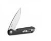 Ganzo FH41 sort G10