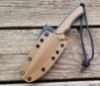 Spartan Phrike, BLK/TAN